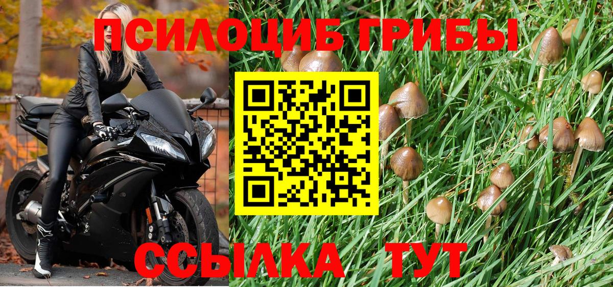 Галлюциногенные грибы MAGIC MUSHROOMS  Псилоцибиновые грибы MAGIC MUSHROOMS  Орехово-Зуево  Вход с VPN 